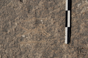 Piedra: 494, Cara decorada: IV