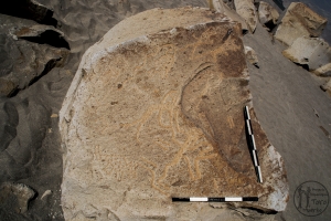 Piedra: 1355, Cara decorada: I