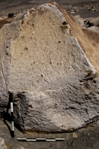 Piedra: 1355, Cara decorada: V
