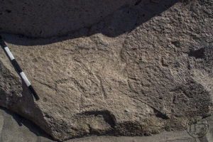Piedra: 1362, Cara decorada: III