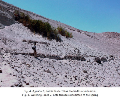 Fuente: Daria Rosińska, Luis Hector Dias Rodriguez, Diversidad arqueológica en Toro Muerto, sur del Perú. En: Tambo. Boletín de arqueología, 2008, No. I, p. 83-98.
