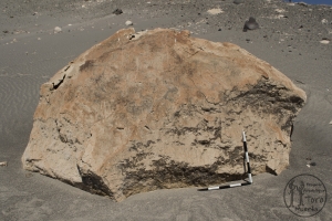 Piedra: 13, Cara decorada: I