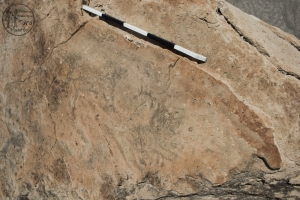 Piedra: 13, Cara decorada: I