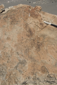 Piedra: 13, Cara decorada: I
