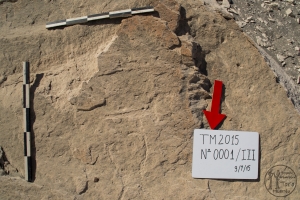 Piedra: 1, Cara decorada: III