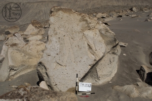 Piedra: 23, Cara decorada: II