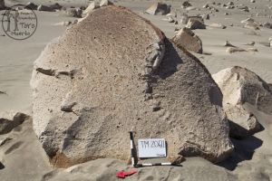Piedra: 23, Cara decorada: I