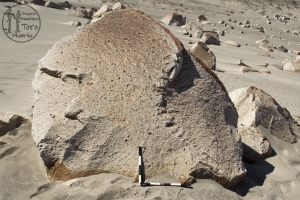 Piedra: 23, Cara decorada: I