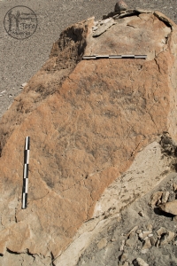 Piedra: 26, Cara decorada: I