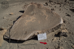 Piedra: 27, Cara decorada: I