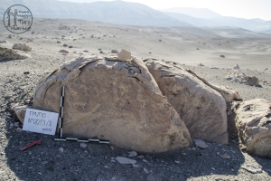 Piedra: 39, Cara decorada: II