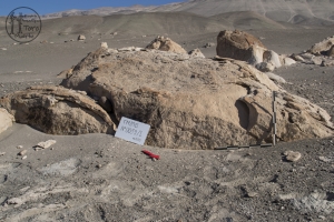 Piedra: 39, Cara decorada: I