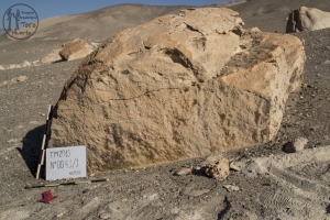 Piedra: 41, Cara decorada: I