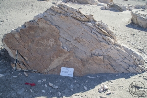 Piedra: 45, Cara decorada: I