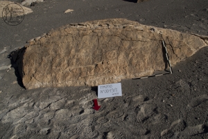 Piedra: 49, Cara decorada: I