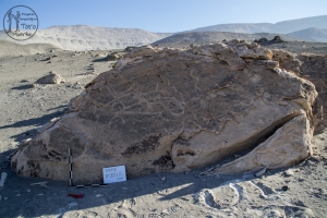Piedra: 51, Cara decorada: I