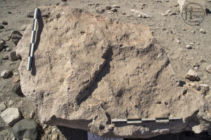 Piedra: 62, Cara decorada: II