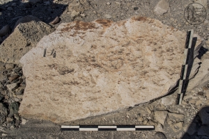 Piedra: 63, Cara decorada: I