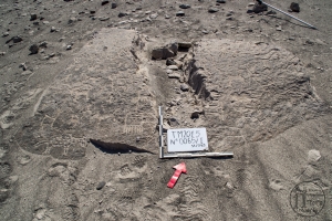 Piedra: 65, Cara decorada: I