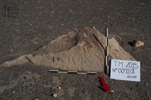 Piedra: 72, Cara decorada: II