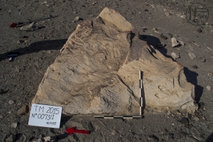 Piedra: 73, Cara decorada: I