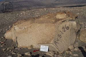 Piedra: 79, Cara decorada: II