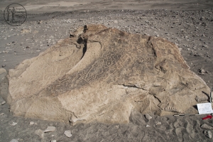 Piedra: 79, Cara decorada: I