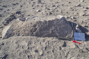 Piedra: 82, Cara decorada: I