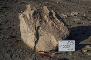 Piedra: 85, Cara decorada: I