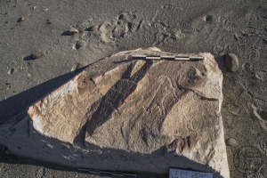 Piedra: 86, Cara decorada: I