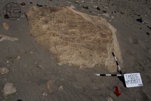 Piedra: 87, Cara decorada: I