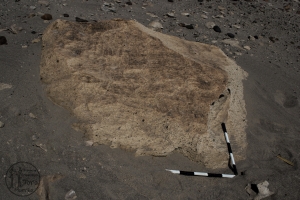 Piedra: 87, Cara decorada: I