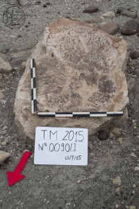 Piedra: 90, Cara decorada: I