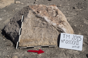Piedra: 100, Cara decorada: II