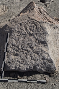Piedra: 100, Cara decorada: I