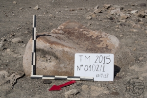 Piedra: 102, Cara decorada: I
