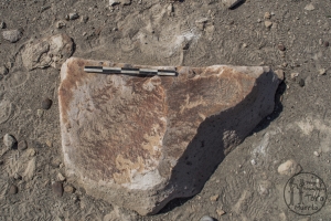 Piedra: 102, Cara decorada: I