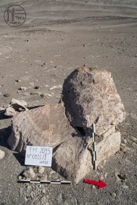 Piedra: 111, Cara decorada: I