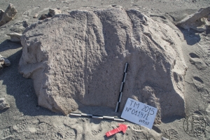 Piedra: 114, Cara decorada: I