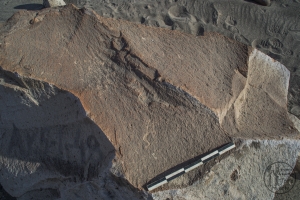 Piedra: 118, Cara decorada: I
