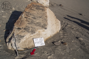 Piedra: 119, Cara decorada: I