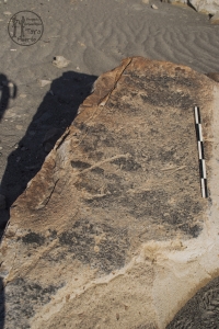 Piedra: 119, Cara decorada: I