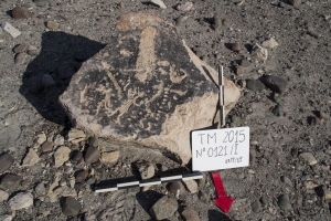 Piedra: 121, Cara decorada: I