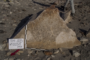 Piedra: 123, Cara decorada: I