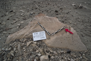 Piedra: 129, Cara decorada: II