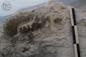 Piedra: 129, Cara decorada: I