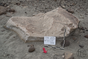 Piedra: 131, Cara decorada: I