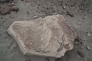 Piedra: 131, Cara decorada: I