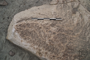 Piedra: 131, Cara decorada: I