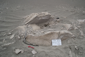Piedra: 132, Cara decorada: I